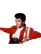 Cargar imagen en el visor de la galería, Elvis Presley Red & White Real Leather Jacket